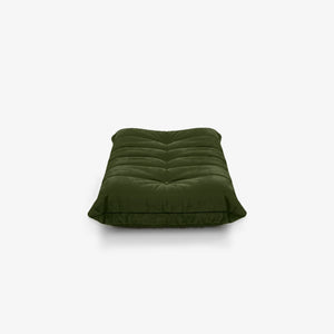 Oliva